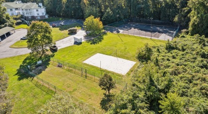 Sand Volleyball court & Dog park