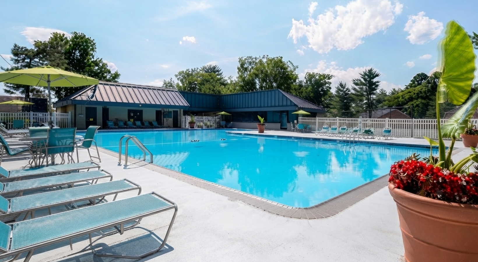 Olympic sized pool with lounge seating and umbrellas