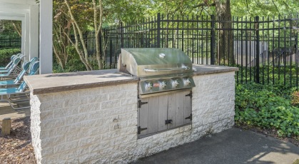 Pool side gas grills