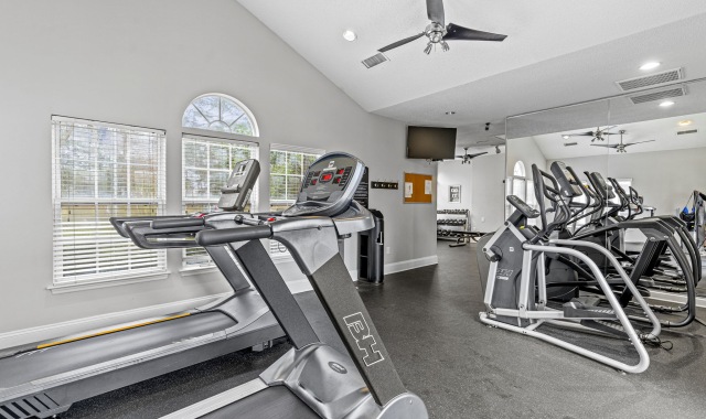 Fully equipped fitness canter 