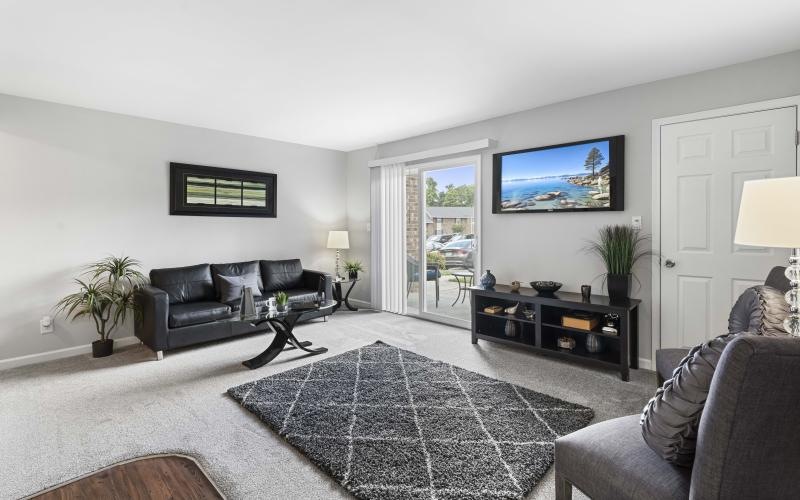 a living room with a rug and a tv