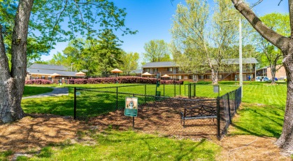 Fenced in dog park