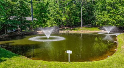 Franklin Woods pond with water features
