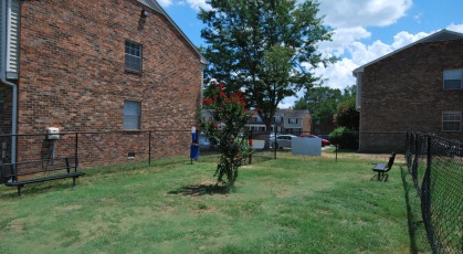 Fenced in dog park on grassy lawn
