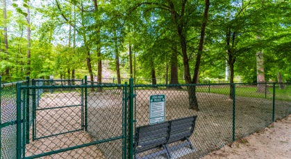 Fenced in dog park