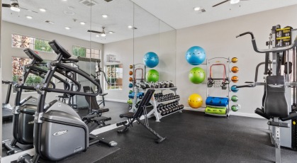 Fitness center with a variety of cardio and weight machines