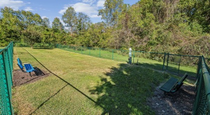 Fenced in dog park