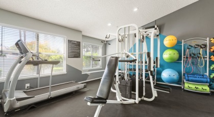 Fitness center with a variety of cardio and weight machines