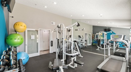 Fitness center with a variety of cardio and weight machines