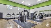Fitness center with a variety of cardio and weight machines