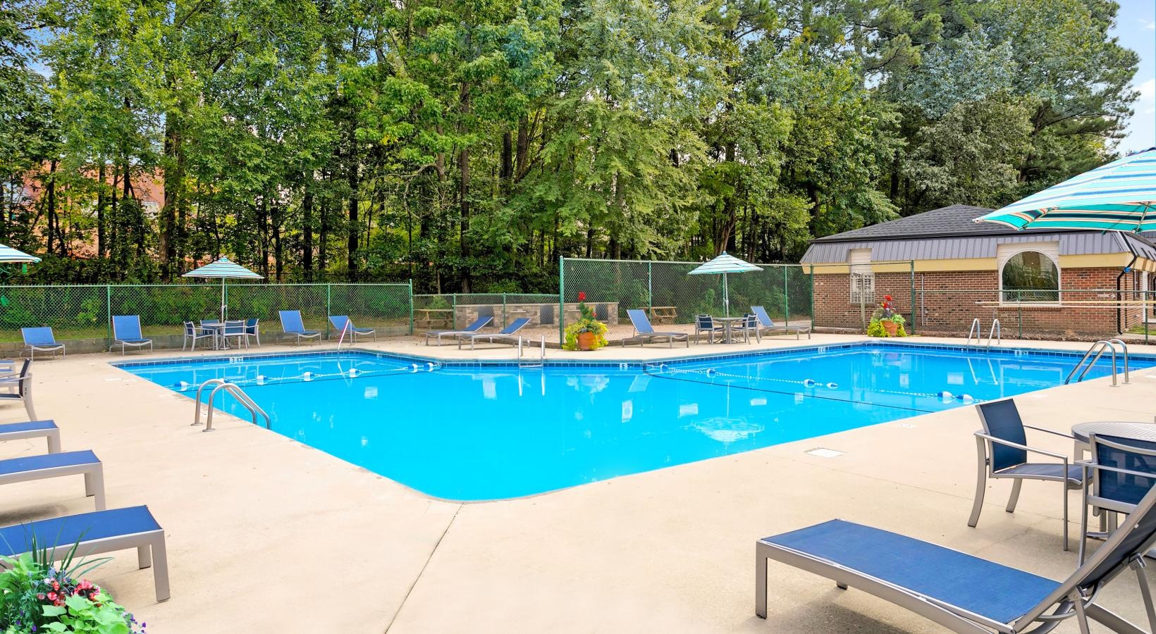 Sparkling blue pool surround by large trees and lounge chairs