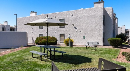 Picnic and grilling area