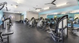 Fully equipped fitness center access