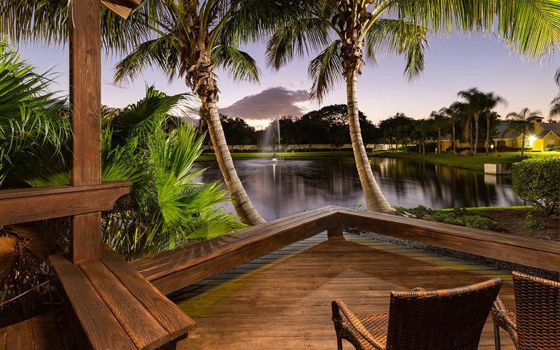 a deck with palm trees and a body of water in the background