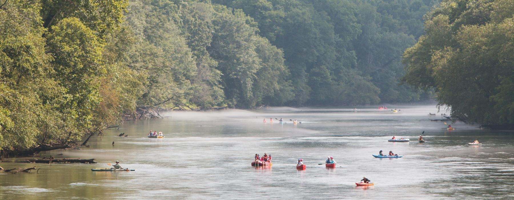 a group of people rowing in a lake