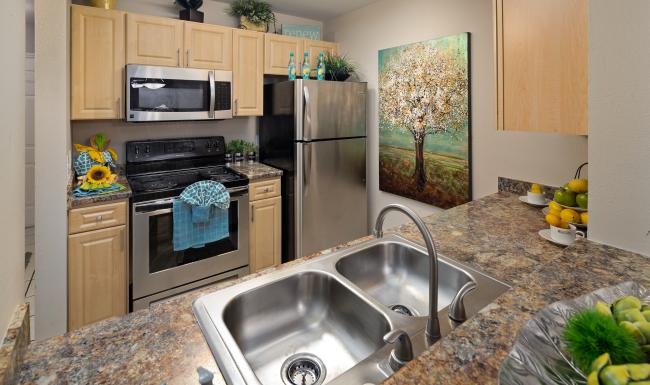 a kitchen with a stainless steel sink a stovetop and a fridge