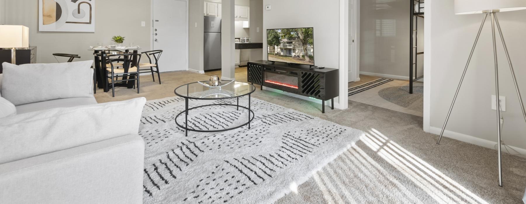 a living room with a couch a rug and a tv