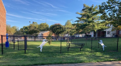 Grassy, fenced dog park for your pet's exercise
