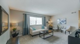 Large living room with lots of natural light