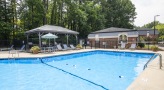 Sparkling  pool surrounded by large trees and lounge chairs