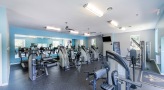 Access to  fully equipped fitness center with treadmills and strength-training free weights