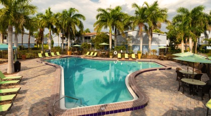 Aeriel  of pool and community