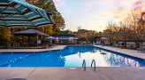 Sparkling blue pool surround by large trees and lounge chairs