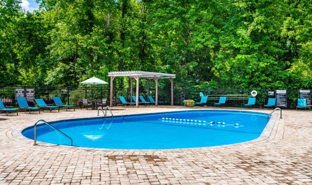 Sparkling swimming pool with free Wi-Fi