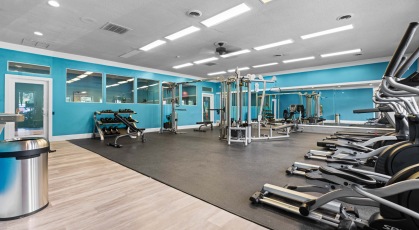 Fitness center with a variety of cardio and weight machines