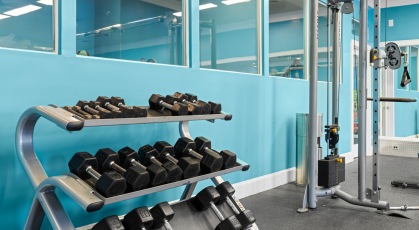 Fitness center with a variety of cardio and weight machines