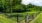 Fenced in dog park