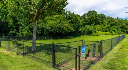 Fenced in dog park