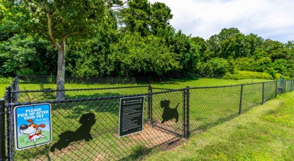 Fenced in dog park