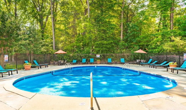 Sparkling pool, stone grilling patio, and more