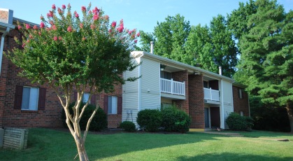 Apartment building exterior with flowering tree and green lawn