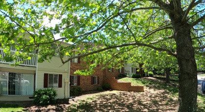 Two story apartment building under large sycamore tree