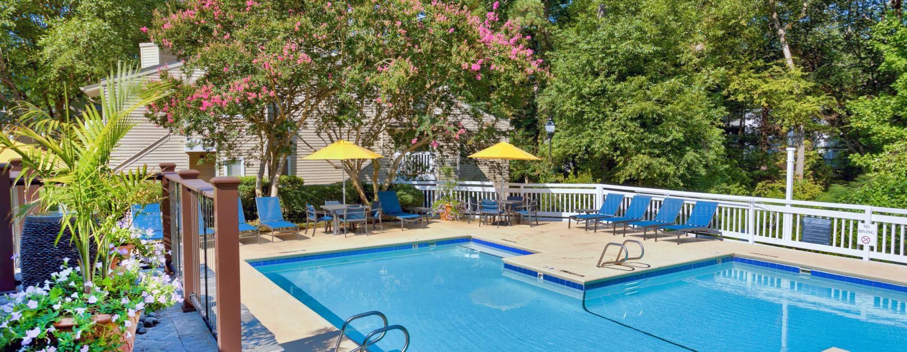 a swimming pool with trees around it