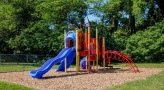 Playground with slide, ladder, and jungle gym