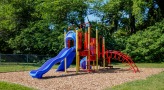 Playground with slide, ladder, and jungle gym