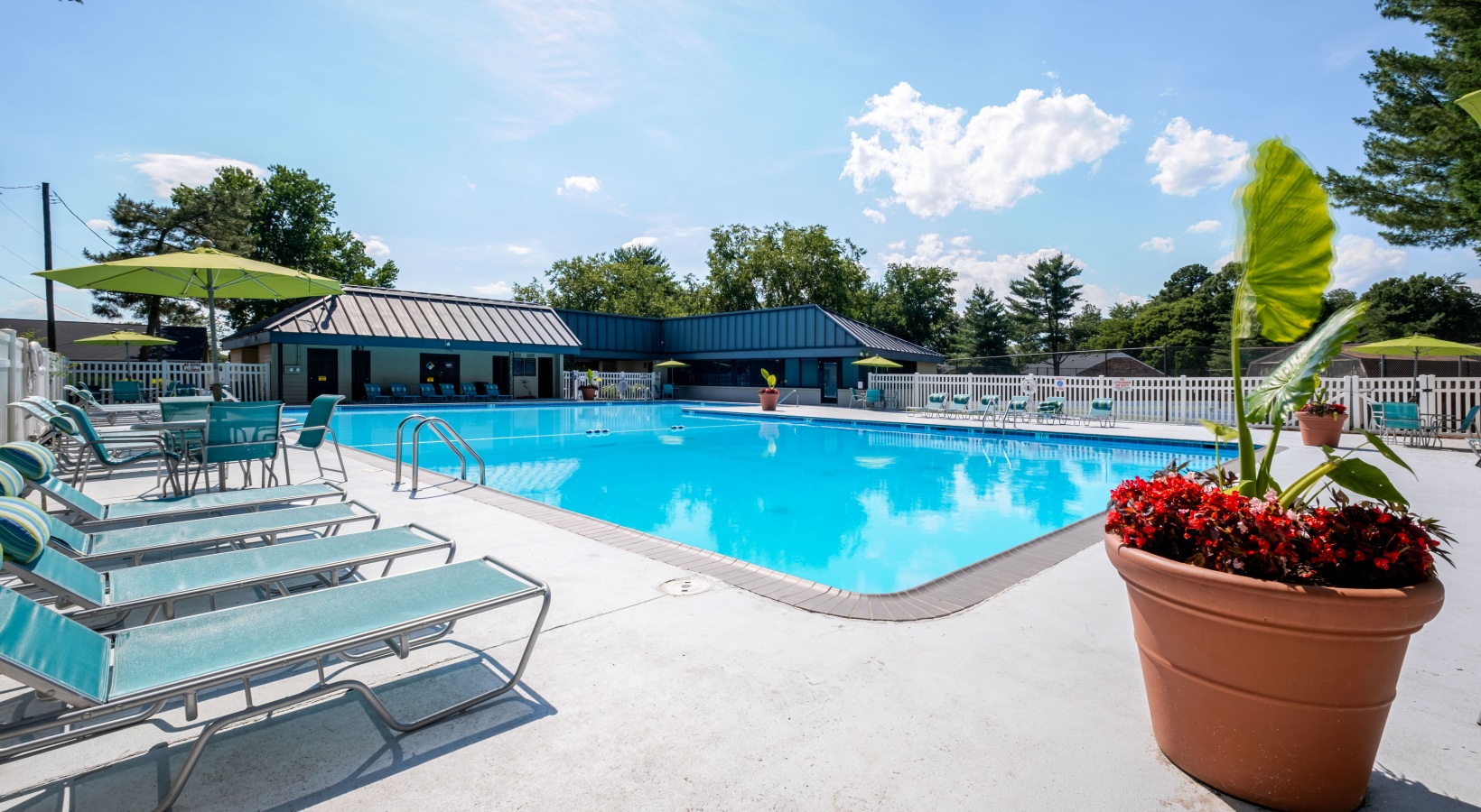 Olympic-sized pool with lounge seating and umbrellas