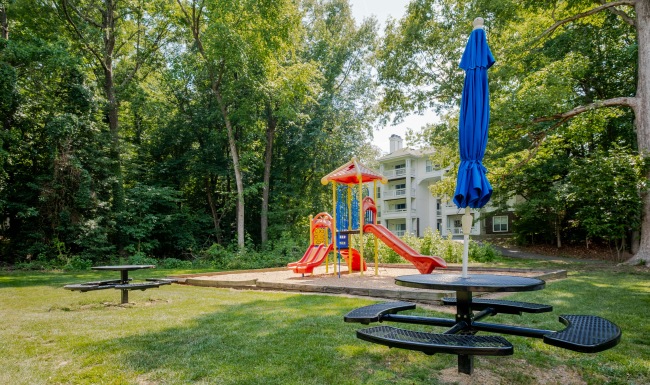 Playground & picnic area