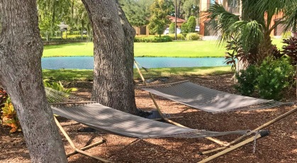 Hammocks to relax by the water