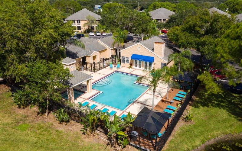 a swimming pool surrounded by trees