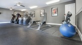 Fitness center with a variety of cardio and weight machines