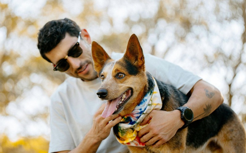 a person holding a dog