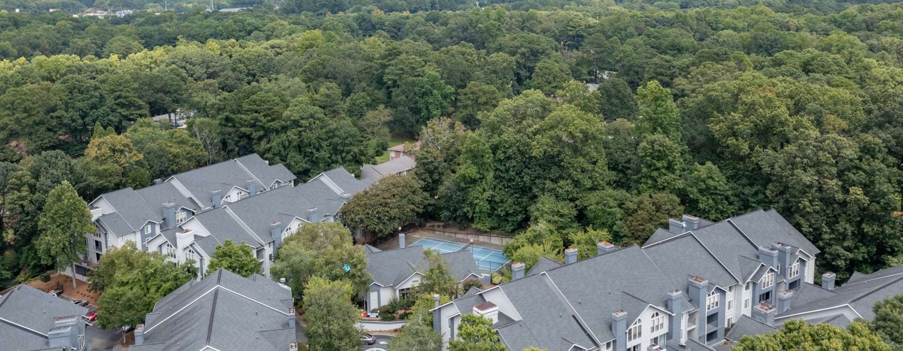 Bird's eye view of the community