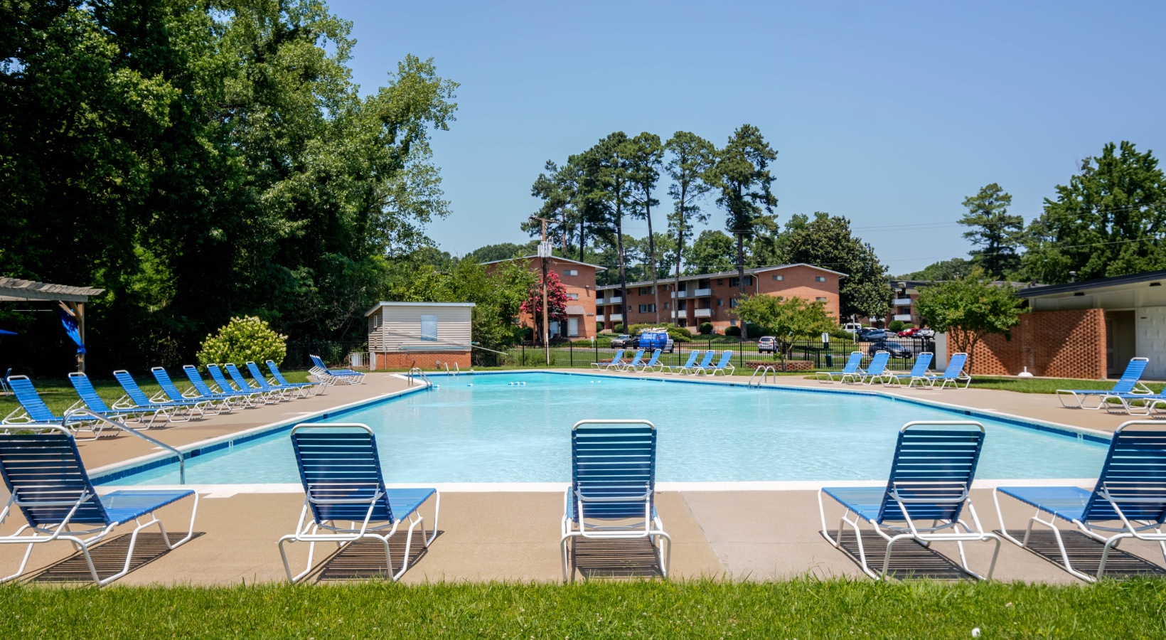 Swimming pool with lounge seating and a pergola