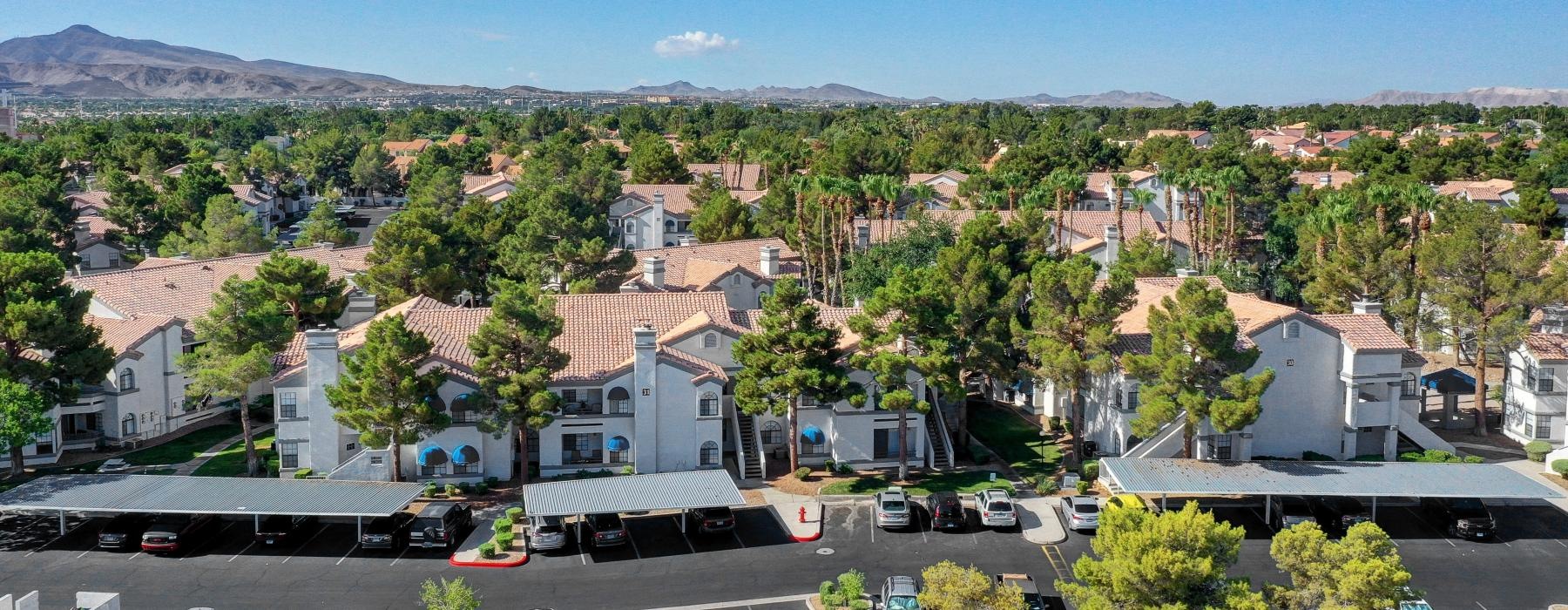aerial view of Pacific Island in Green Valley