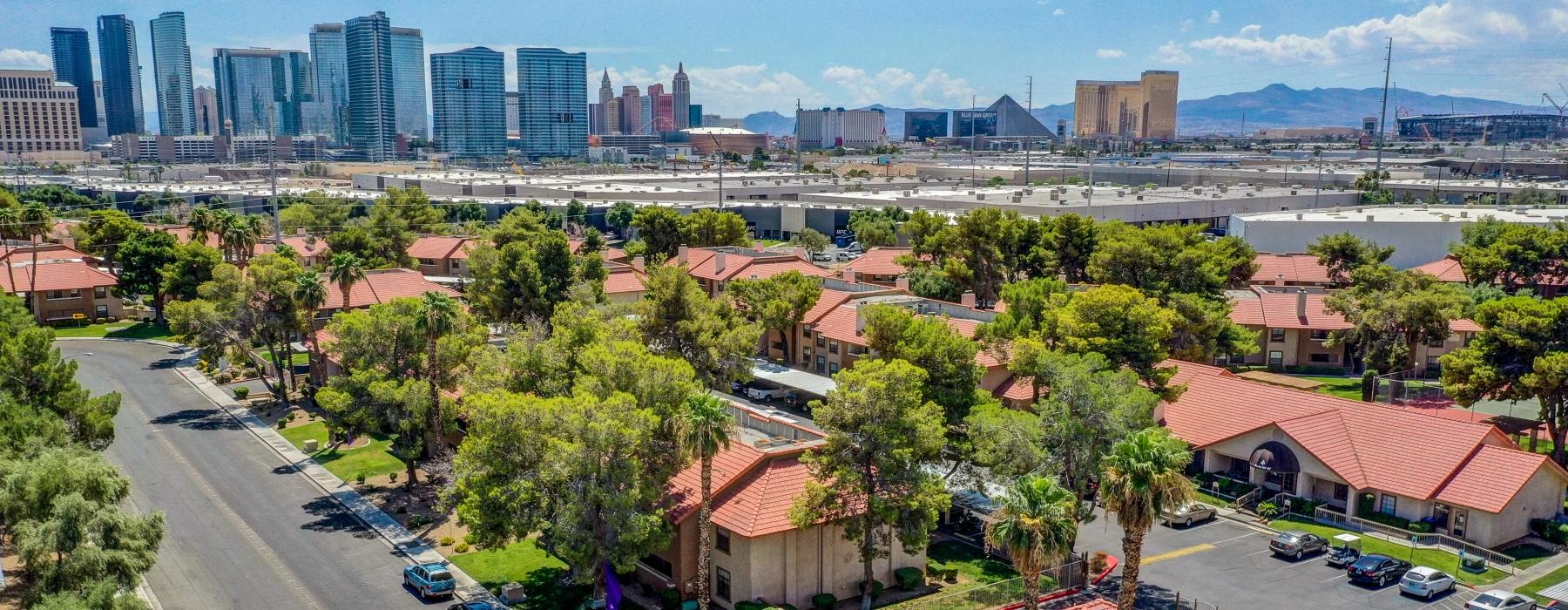 a city with many buildings and trees