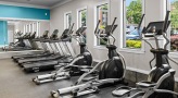 Fitness center with a variety of cardio and weight machines